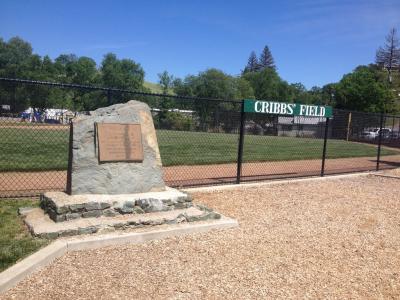 Cribb Field & Snack Shop for Outdoor Gatherings